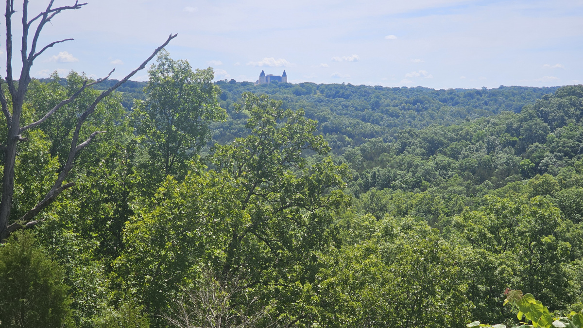 View of Property