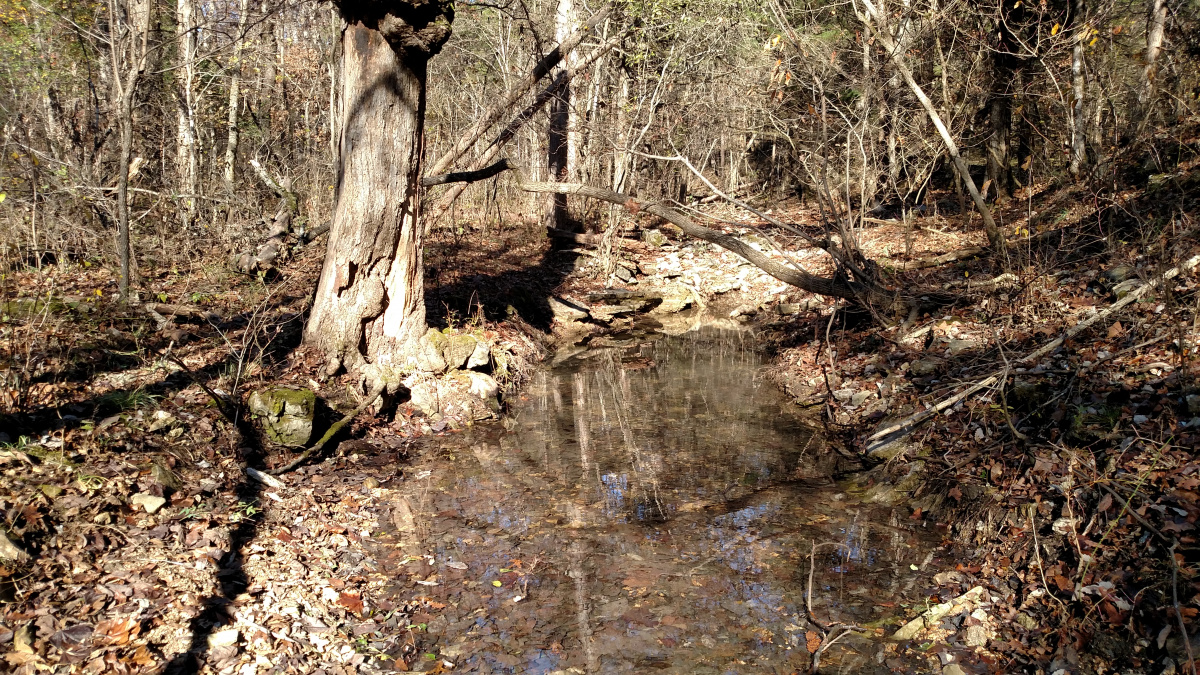 Buttermilk Spring Road, Galena, Missouri 65656, ,Land,For Sale,Buttermilk Spring Road,1011