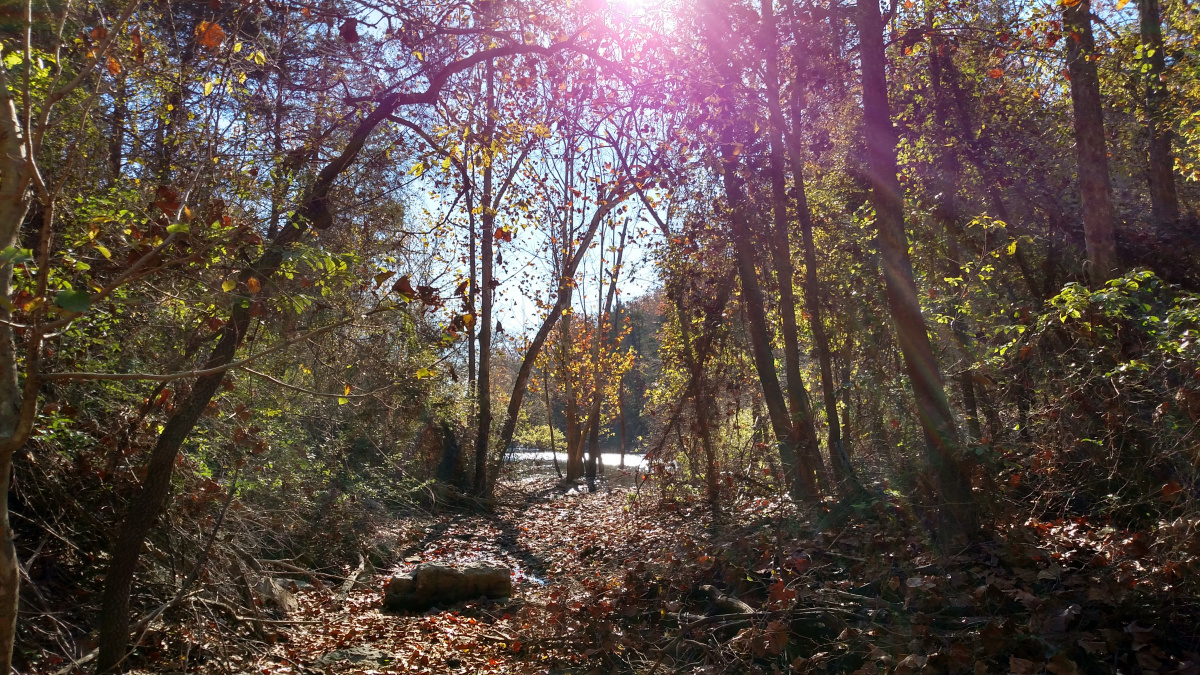 Buttermilk Spring Road, Galena, Missouri 65656, ,Land,For Sale,Buttermilk Spring Road,1011