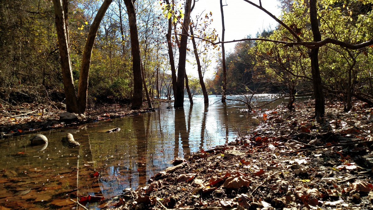 Buttermilk Spring Road, Galena, Missouri 65656, ,Land,For Sale,Buttermilk Spring Road,1011